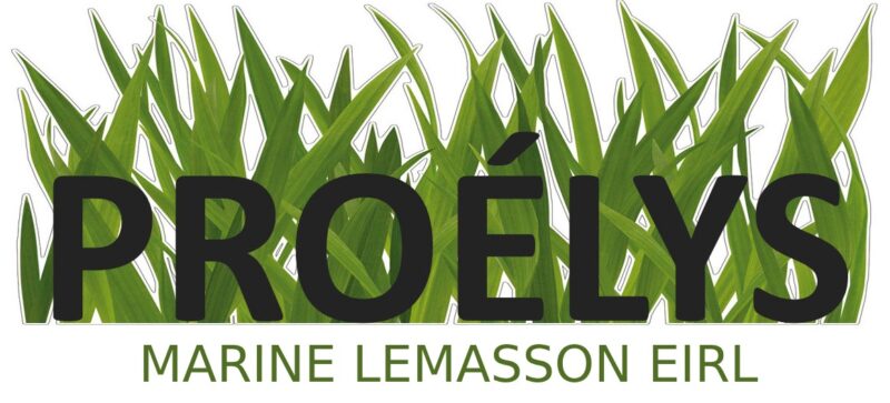 PROÉLYS - Marine LEMASSON